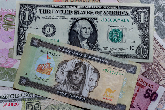 One  US Dollar with Different Eritrean nakfa Banknotes