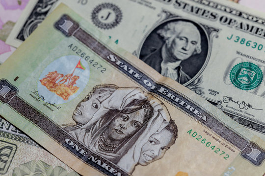 One  US Dollar with Different Eritrean nakfa Banknotes