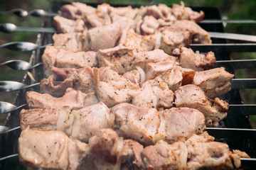 meat on the grill on the street