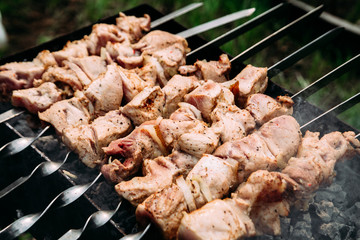 meat on the grill on the street