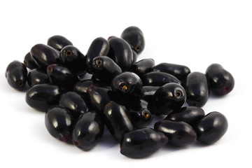 Black Plum (Jamun) Fruit