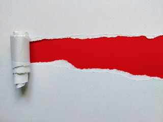 torn paper background