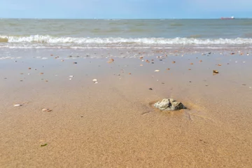 Fotobehang Little rock on sandy beach © Mario