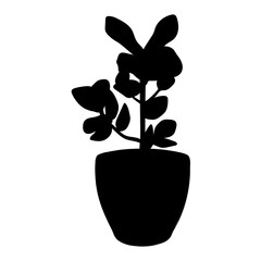 Plant in pot silhouette17
