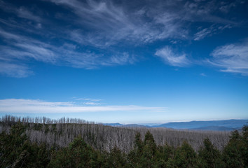 blue sky panoramic views