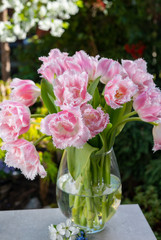 Vase with light pink tulip flowers in spring sunny garden