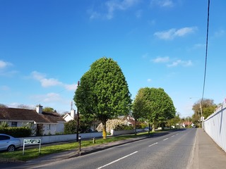 street and sky and tree