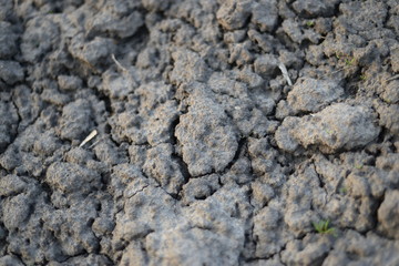 fresh spring soil in the field