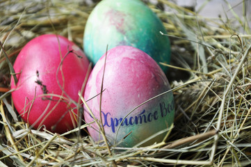 colorful easter eggs in a nest