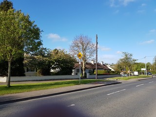 street view with tree and sky