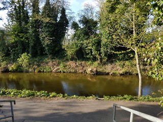 LAKE WITH PARK