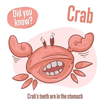 Interesting Facts About Crab. Did You Know?