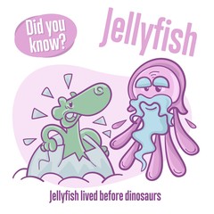 Medusa. Interesting facts about jellyfish. Did you know?