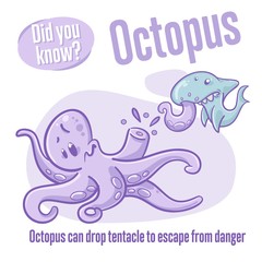 Octopus. Interesting facts about sea animals. Did you know?