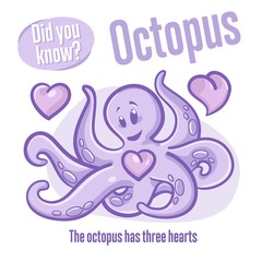 Octopus. Interesting facts about sea animals. Did you know?