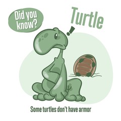 Turtle. Interesting facts about tortoise. Did you know?