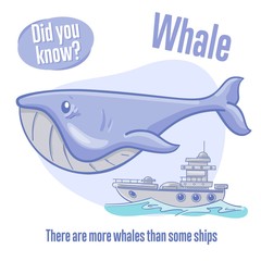 Whale. Interesting facts about sea animals. Did you know?