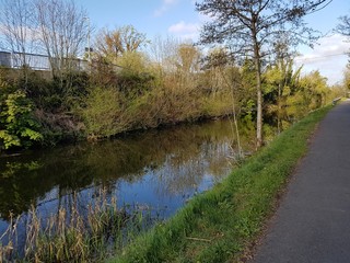 RIVER AND TREE VIEWS 