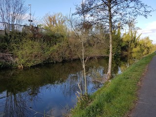 RIVER AND TREE VIEWS 