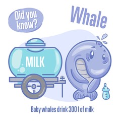 Whale. Interesting facts about sea animals. Did you know?