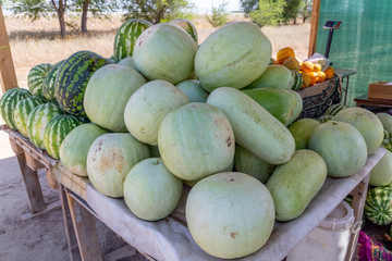 Market of melons near plantation. Kapchagai, Almaty region, Kazakhstan Republic.
