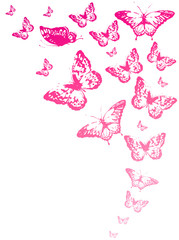 Obraz na płótnie Canvas butterfly541