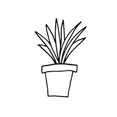 Houseplant in a pot. Doodle style. Hand drawn vector illustration in black ink isolated on white background.