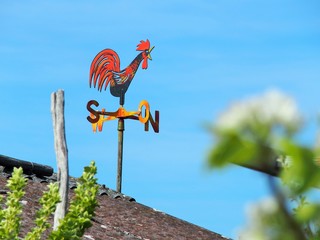 Wetterhahn mit Himmelsrichtungen vor blauem Himmel