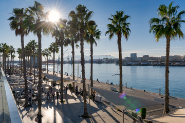 Quay 1 in the Port of Malaga with palm trees backlight. Promenade with peolple and bar restaurants.