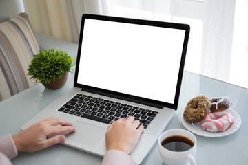 female hands on laptop keyboard with isolated screen in room