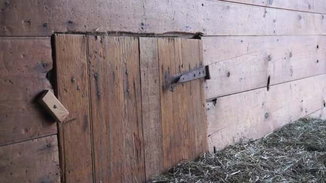 Small wooden door with cast iron hinge in 18th century barn.  Straw bales sit in front of door.
