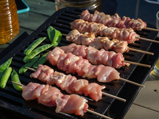 炭火焼き鳥
