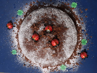 Der Schokoladenkuchen 
