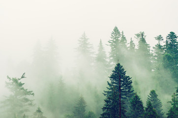 Misty mountain landscape