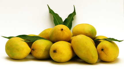 Alphonso Mangoes with leaves