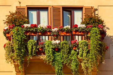 Fototapeta na wymiar green balcony on a summer day