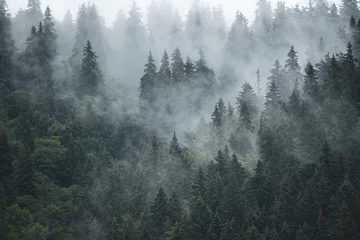Foto auf Acrylglas Nebelhafte Berglandschaft © Roxana