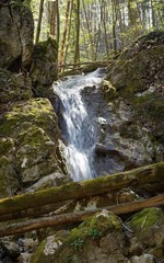 Obraz premium Wasserfall in der Wolfsschlucht