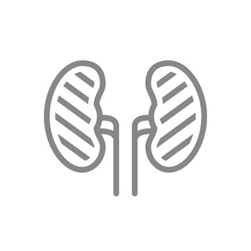 Sore Human Kidneys Line Icon. Renal Cysts, Kidney Stones, Ureteral Stone Symbol