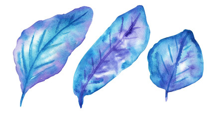 Set of three beautiful watercolor leaves. Autumn foliage, stylish paint blurs, bright and clear colors of red, yellow, blue and green. Perfect for design, decoration, stickers, greeting cards. 
