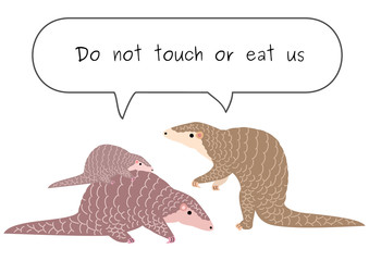 do not eat or touch pangolin