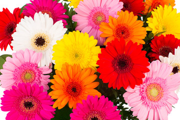 Colorful flower bouquet in a vase isolated