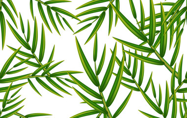 Tropical palm leaves pattern. Vector illustration