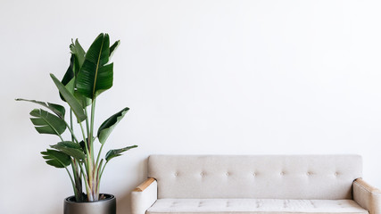 Modern light colored sofa