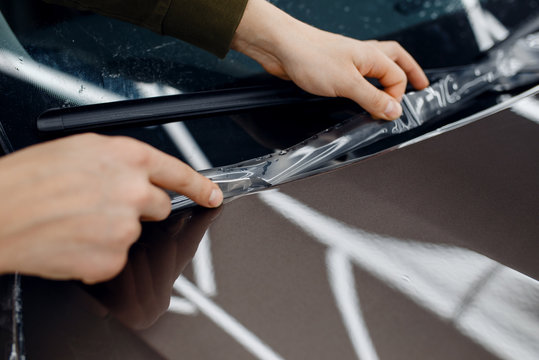 Worker installs protection film on car hood