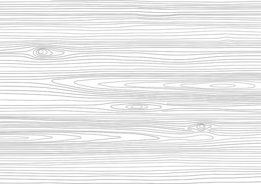 Wood Texture White Oak Effect Vector Illustration Background