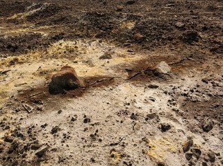 stone and sulphate sludge