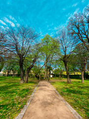 Spring long walk in the park at the weekend.