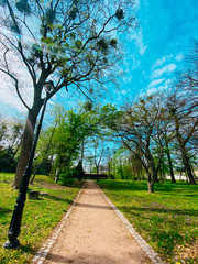 Spring long walk in the park at the weekend.
