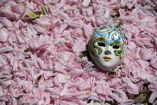 Carnival of Venice shiny mask on cherry tree petals